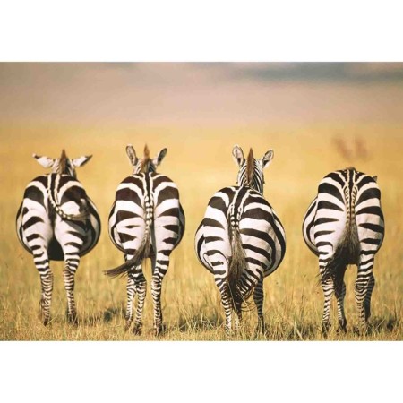 Puzzle Zebre In Savana, 300 Piese Ravensburger - 1